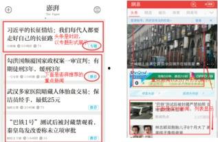网曝热门事件2024网页版,揭秘网络舆论焦点