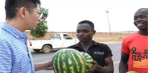 吃瓜炸裂 国内吃瓜爆料黑料,吃瓜炸裂，黑料爆料席卷而来