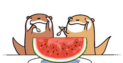 今日吃瓜学生校园什么网站 吃瓜网91爆料 过量吃瓜容易腹痛腹泻吗,过量“吃瓜”或致腹痛腹泻